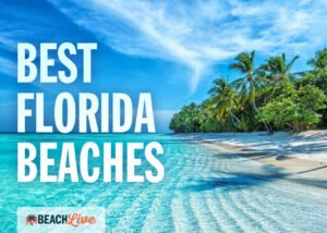 Top Beaches in Florida