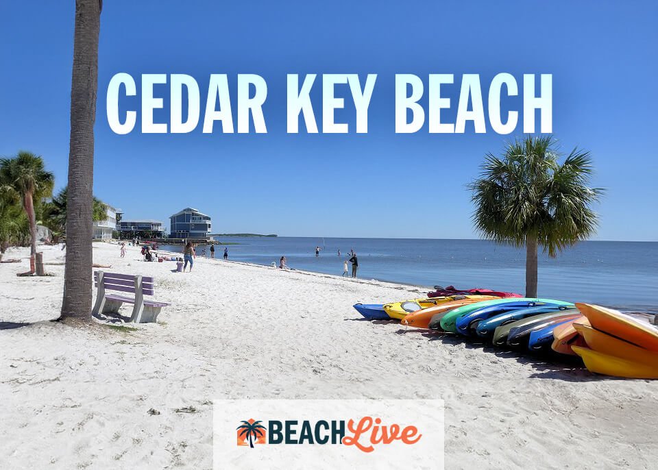 Cedar Key Beach