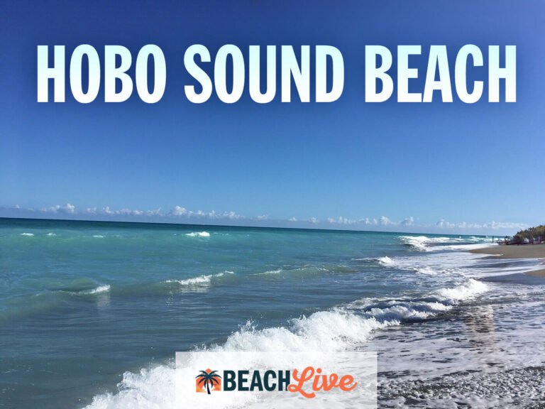 Hobo Sound Beach Live Cam