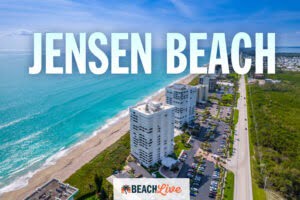 Jensen Beach Cam Header