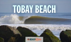 See the waves and wind with the Tobay beach webcam